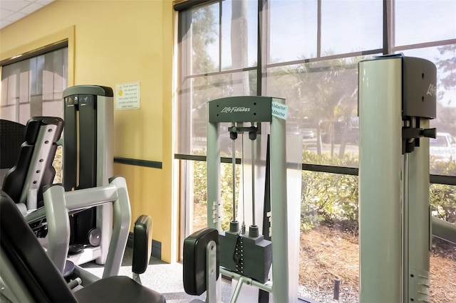 2411 New Haven Cir Unit 70, Sun City Center, FL 33573 - view of workout area
