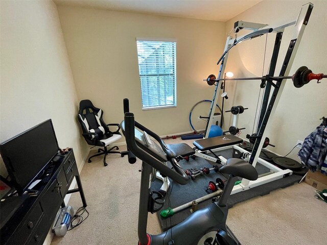20940 Valore Ct, Venice, FL 34293 - photo 28