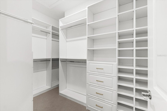 7661 Summerland Cv, Bradenton, FL 34202 - walk in closet featuring dark carpet