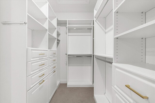 7661 Summerland Cv, Bradenton, FL 34202 - spacious closet featuring light colored carpet