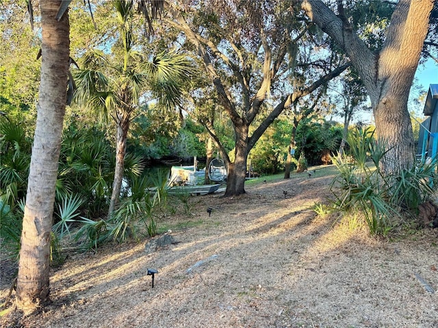3767 Pinstar Ter, North Port, FL 34287 - view of yard