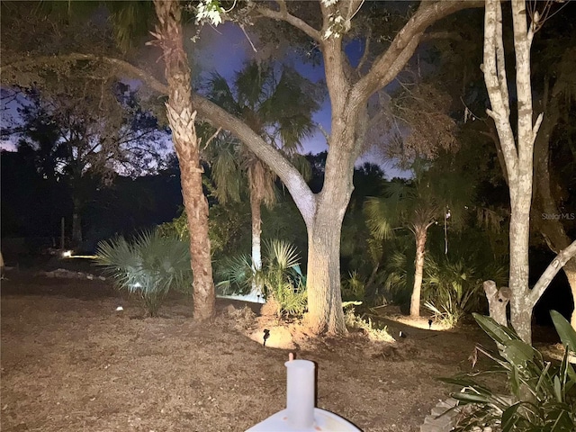 3767 Pinstar Ter, North Port, FL 34287 - view of yard at twilight