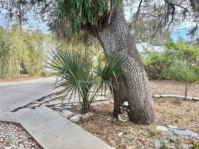 3767 Pinstar Ter, North Port, FL 34287 - view of yard