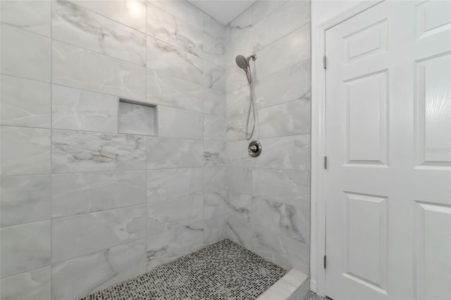 920 Lena Ln, Sarasota, FL 34240 - full bath featuring a tile shower
