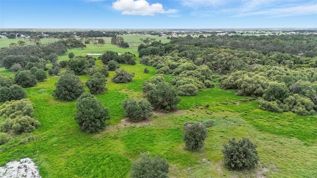 920 Lena Ln, Sarasota, FL 34240 - bird's eye view