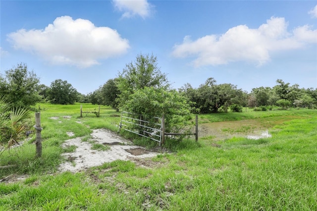 920 Lena Ln, Sarasota, FL 34240 - view of yard with a view of rural / pastoral area and a gate