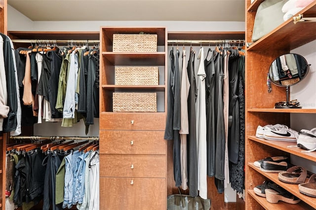 3906 Twin Rivers Trl, Parrish, FL 34219 - view of spacious closet