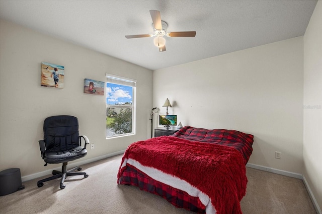 9927 58th St E, Parrish, FL 34219 - photo 38