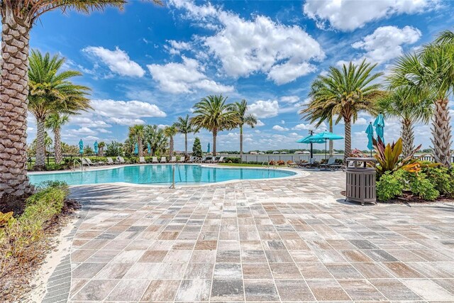 7781 Grande Shores Dr, Sarasota, FL 34240 - photo 63