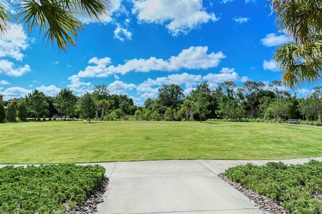 11223 Spring Gate Trl, Bradenton, FL 34211 - view of green lawn