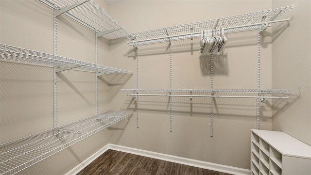 11223 Spring Gate Trl, Bradenton, FL 34211 - photo 29