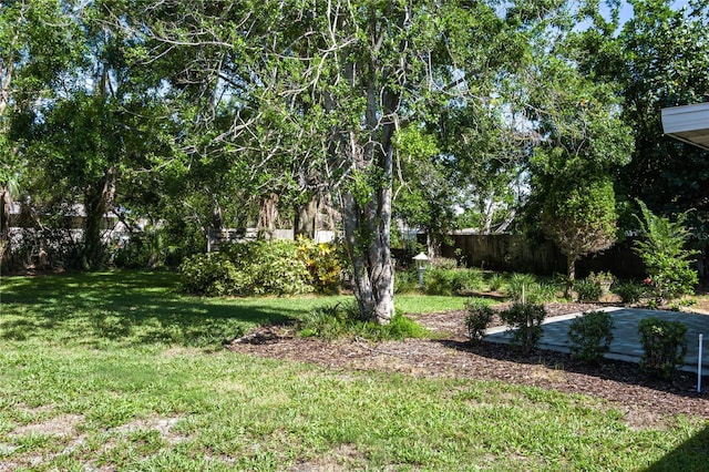 616 59th St NW, Bradenton, FL 34209 - view of yard