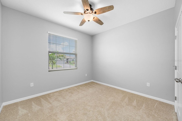 6550 Devesta Loop, Palmetto, FL 34221 - photo 8