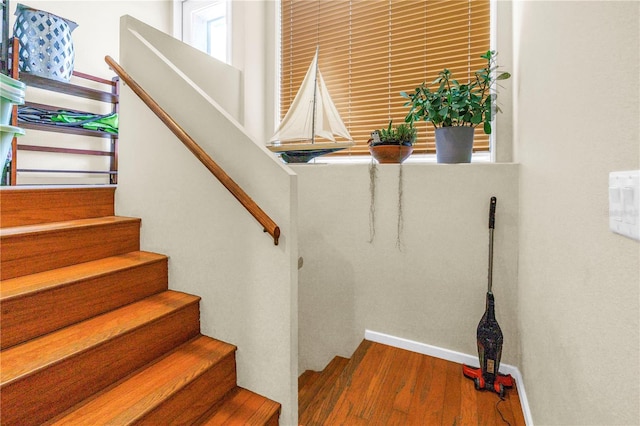 200 Cocoanut Ave Unit 1, Sarasota, FL 34236 - staircase featuring wood finished floors and baseboards