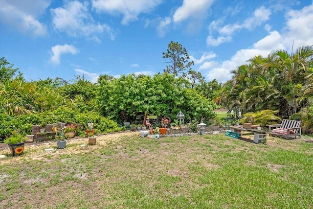 529 Sunset Rd N, Rotonda West, FL 33947 - view of green lawn