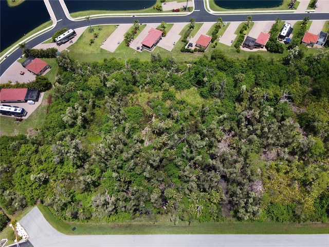14120 Myakka Ave, Port Charlotte, FL 33953 - photo 3