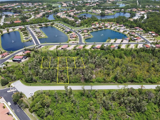 14120 Myakka Ave, Port Charlotte, FL 33953 - photo 4
