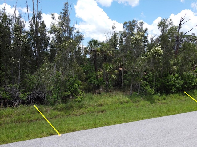 14120 Myakka Ave, Port Charlotte, FL 33953 - photo 12