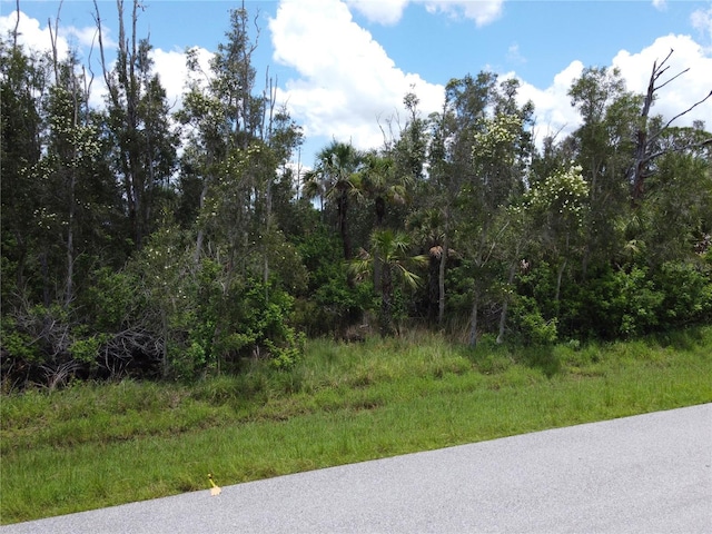 14120 Myakka Ave, Port Charlotte, FL 33953 - photo 13