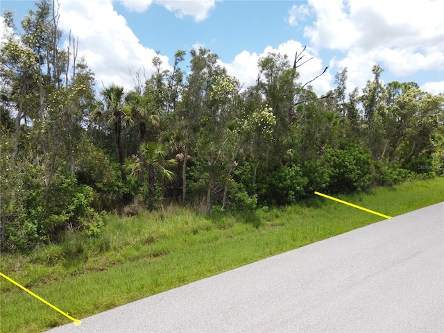 14120 Myakka Ave, Port Charlotte, FL 33953 - photo 14