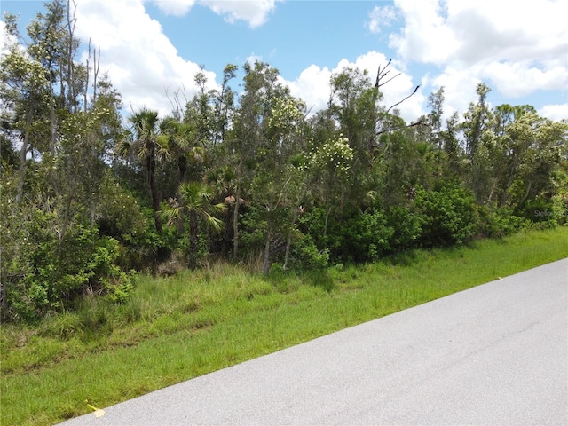 14120 Myakka Ave, Port Charlotte, FL 33953 - photo 15