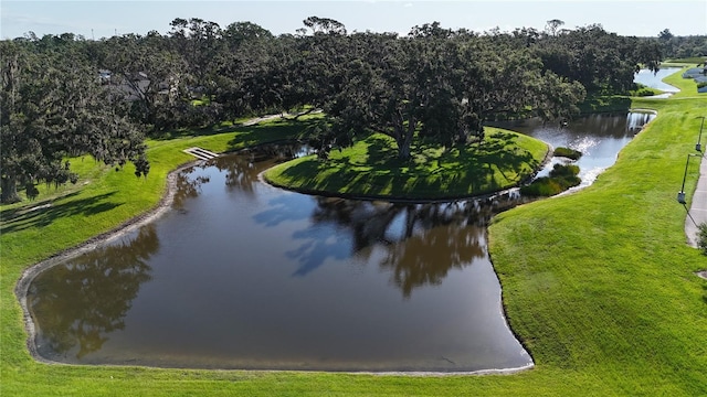 6120 115th Ave E, Parrish, FL 34219 - water view with a tree filled landscape