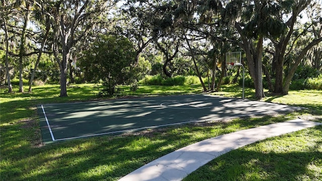 6120 115th Ave E, Parrish, FL 34219 - view of sport court with community basketball court and a yard