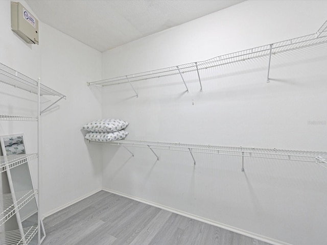 5184 51st Ln W, Bradenton, FL 34210 - walk in closet with light wood-type flooring