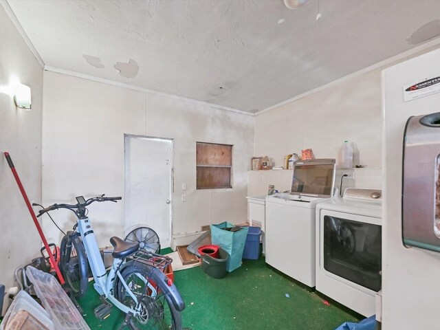 2818 Olympic St, Sarasota, FL 34231 - photo 37