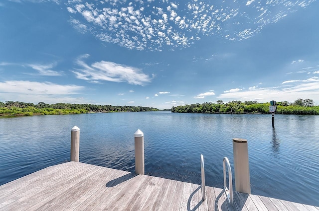 2962 Wilderness Blvd E, Parrish, FL 34219 - photo 38