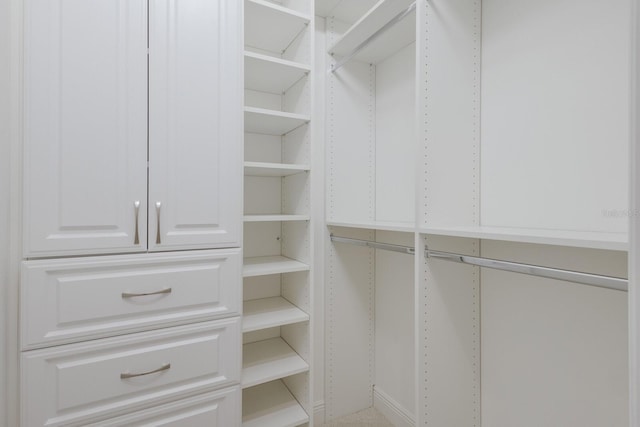 16511 Cornwall Ln, Lakewood Ranch, FL 34202 - view of walk in closet