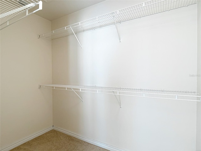 26548 Castleview Way, Wesley Chapel, FL 33544 - spacious closet featuring carpet flooring