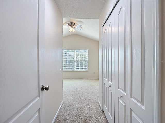 26548 Castleview Way, Wesley Chapel, FL 33544 - hallway with carpet, vaulted ceiling, and a textured ceiling