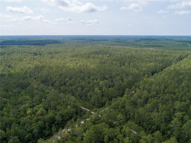 Donna St, Hastings, FL 32145 - photo 1