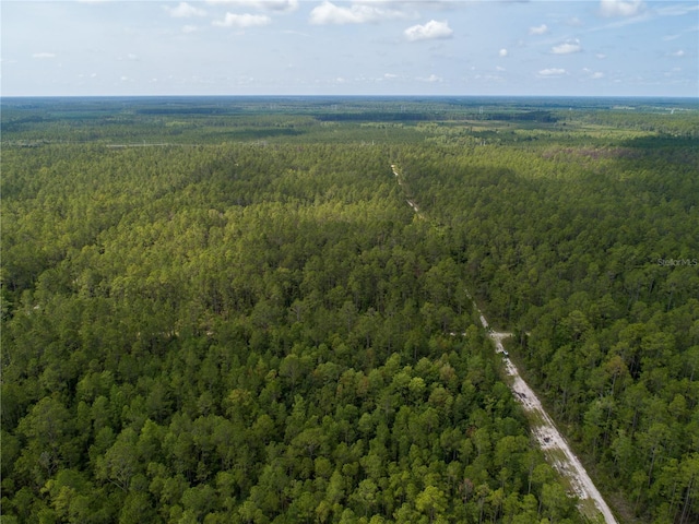Donna St, Hastings, FL 32145 - photo 2