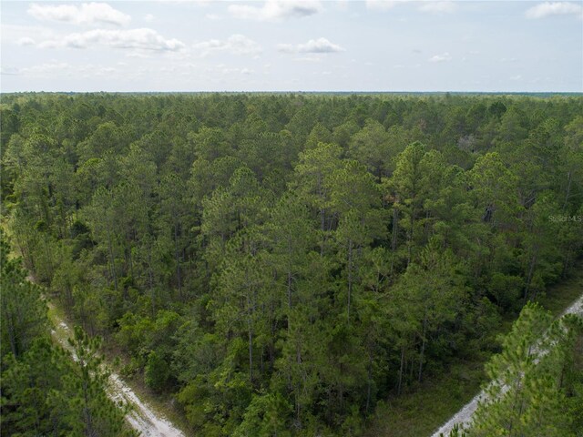 Donna St, Hastings, FL 32145 - photo 3