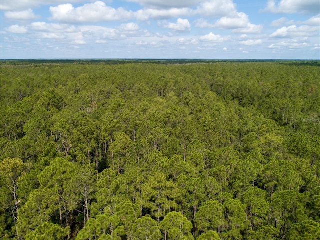 Donna St, Hastings, FL 32145 - photo 4