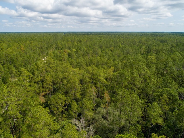 Donna St, Hastings, FL 32145 - photo 6