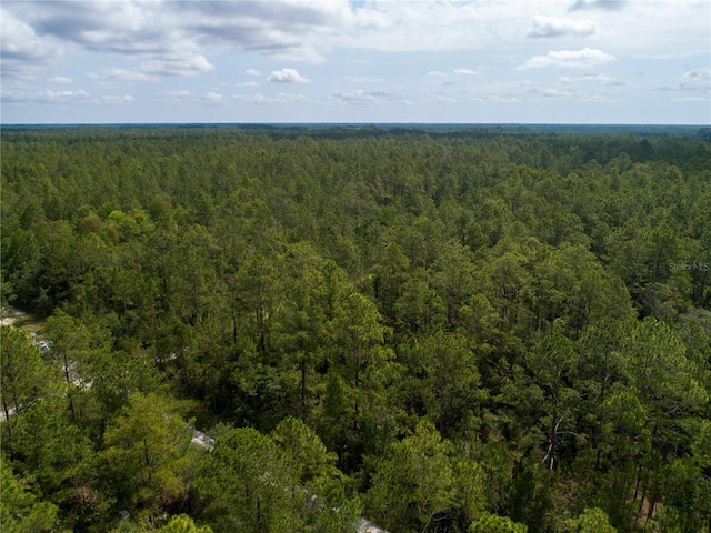 Donna St, Hastings, FL 32145 - photo 7