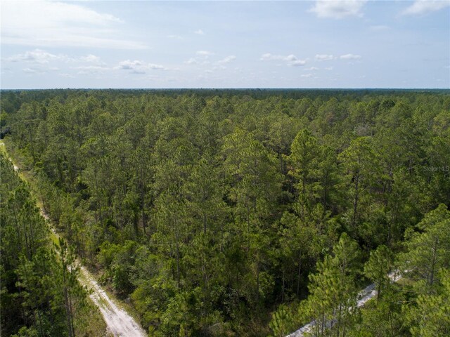 Donna St, Hastings, FL 32145 - photo 8