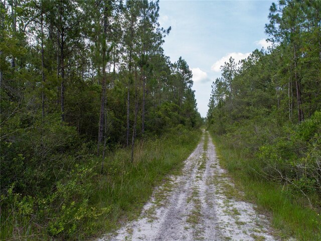 Donna St, Hastings, FL 32145 - photo 9