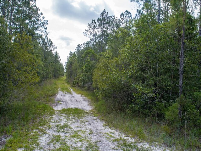 Donna St, Hastings, FL 32145 - photo 10