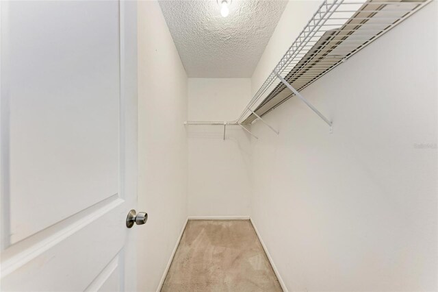 8321 43rd Ave W, Bradenton, FL 34209 - photo 25