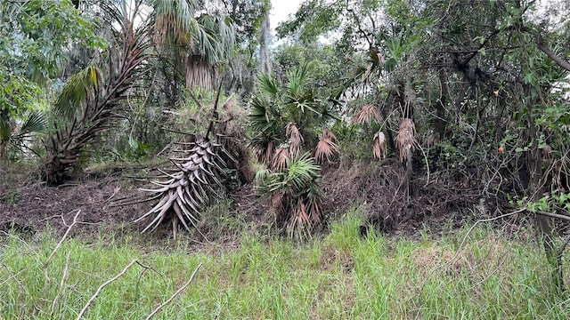 NW Scout Ave, Arcadia, FL 34266 - photo 2