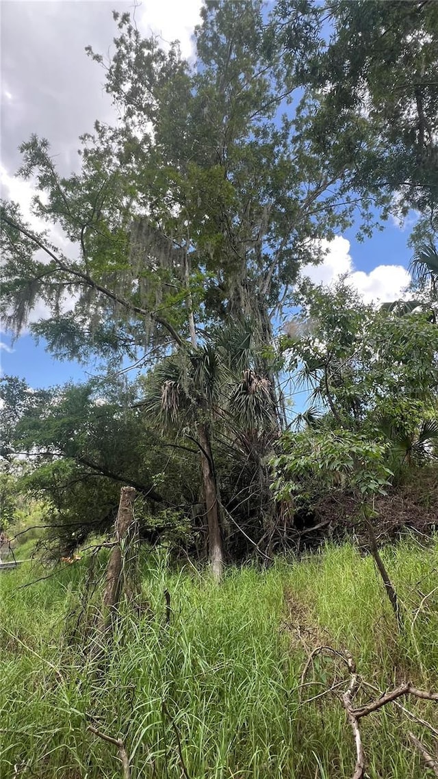 NW Scout Ave, Arcadia, FL 34266 - photo 4