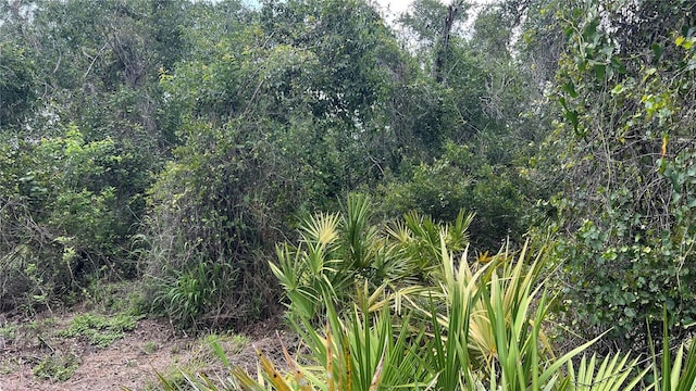 NW Scout Ave, Arcadia, FL 34266 - photo 6