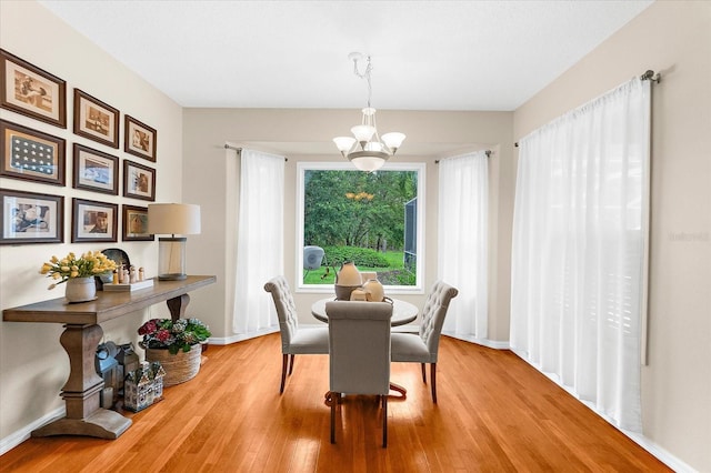 21705 67th Ave E, Bradenton, FL 34211 - dining area with a chandelier and wood finished floors