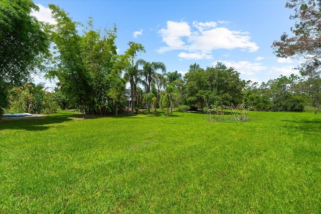 21705 67th Ave E, Bradenton, FL 34211 - view of grassy yard