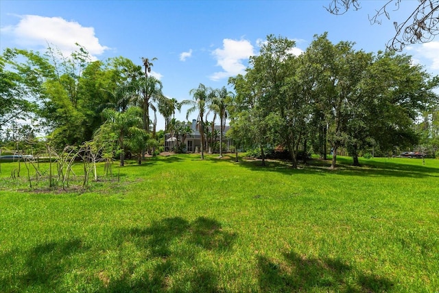 21705 67th Ave E, Bradenton, FL 34211 - view of green lawn