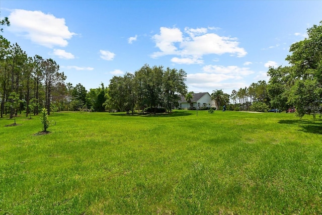 21705 67th Ave E, Bradenton, FL 34211 - view of grassy yard